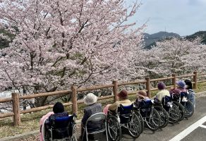 お花見ドライブ