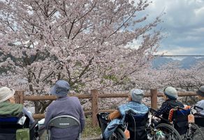 お花見ドライブ③