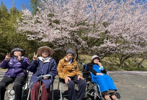 花見ドライブ④