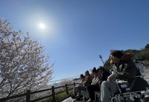 花見ドライブ③