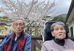 お花見散歩🌸