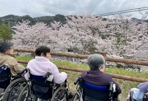 お花見ドライブ🌸②