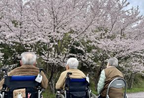 お花見ドライブ🌸③