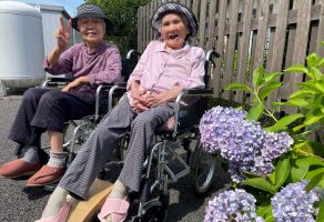 紫陽花お散歩❀