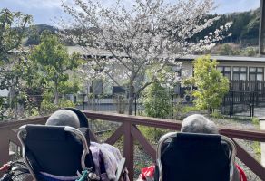 お花見①