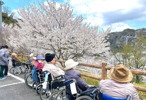 お花見②