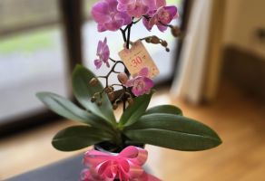 母の日🌼