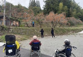 柿を頂きました🍊①