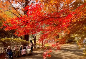 紅葉ドライブ①