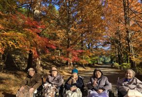 紅葉ドライブ③