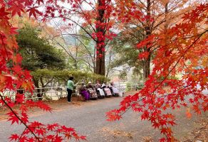 紅葉ドライブ④